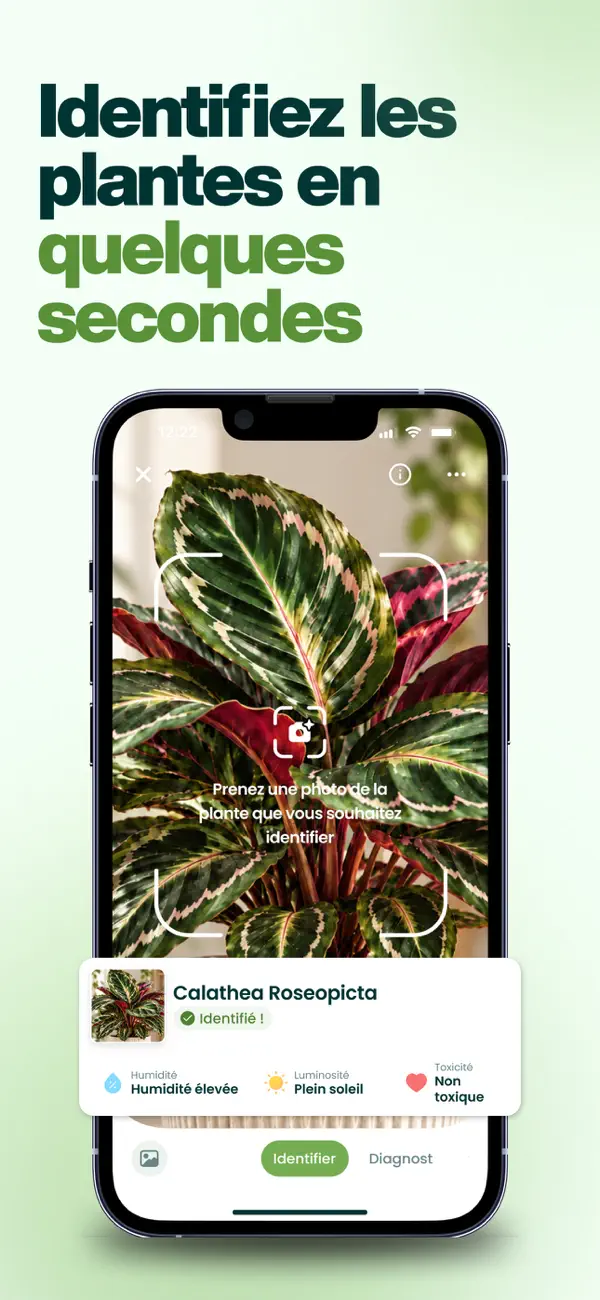 Plantalya : identification d'une plante par photo