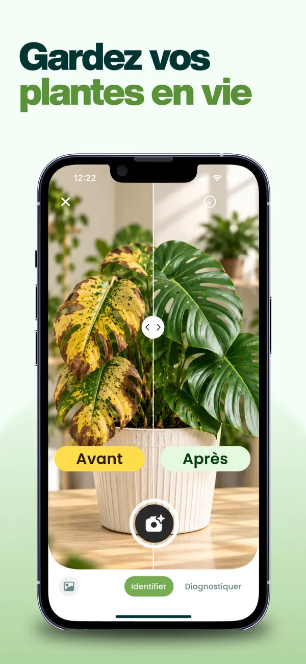 Plantalya : avant et après le programme de soin